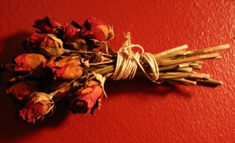 dead-reds-1317346-1279x885